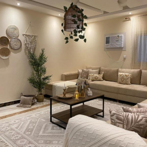 Cozy home